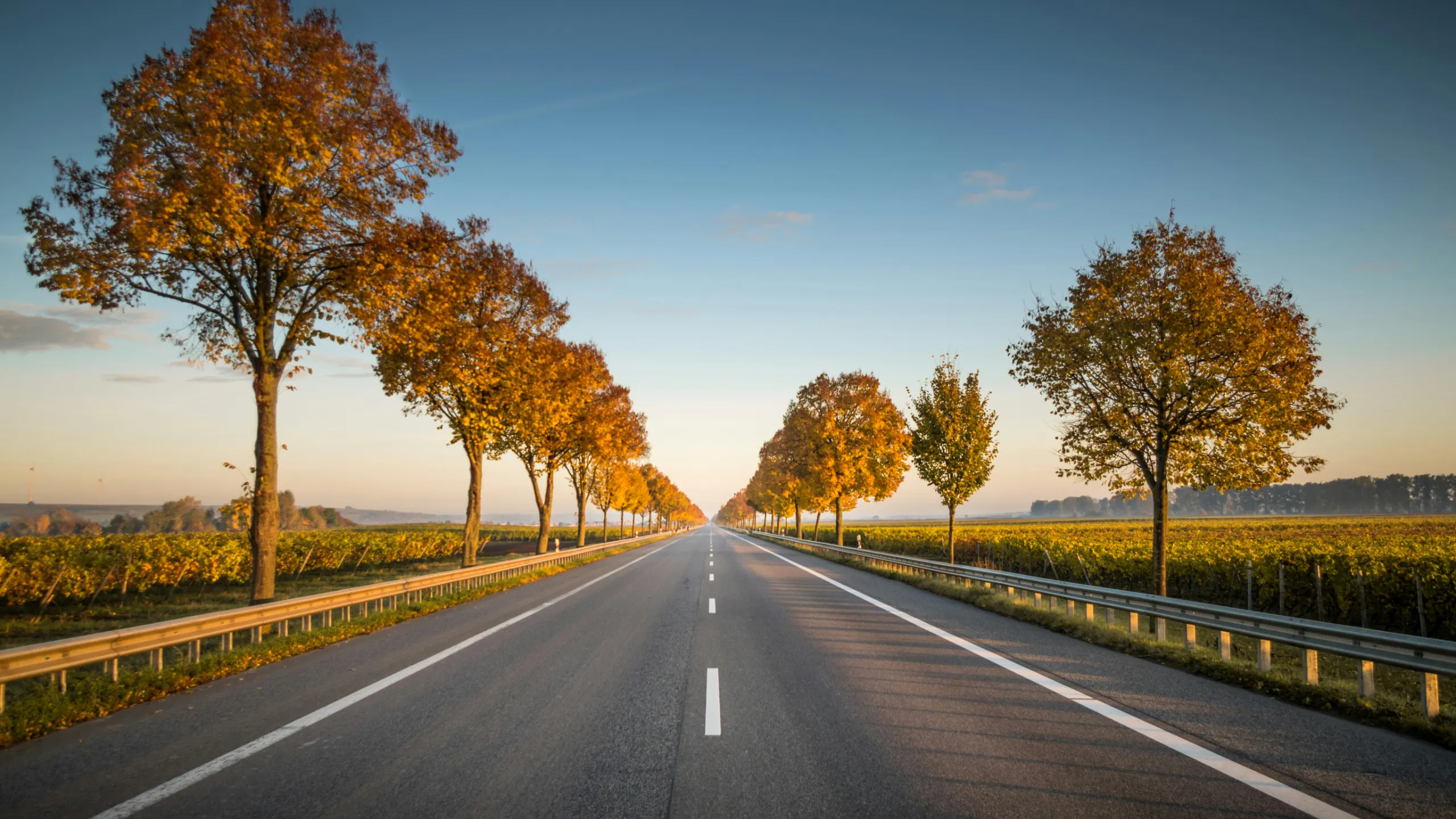 The Longest Range Electric Vehicles